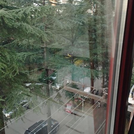 Apartment Ge Zvezda Batumi Exterior photo